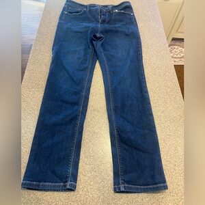 J. Jill Dark Blue Straight Leg Jeans